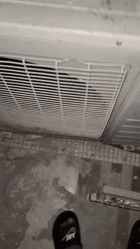 السلام عليكم سبلت 2 طن ميديا السعر 300 اي استفسار اتصال على هذا الرقم ***********
