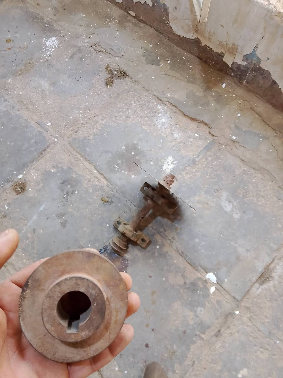 عندي ذني غراض نجاره للبيع شفت وصينية وبلي ماطور   أصلي مكاني سوق الشيوخ


**إذا كنت صاحب هذا الإعلان وتريد حذفه لأي سبب، رجاءا أرسل رسالة إلى الدعم الفني**