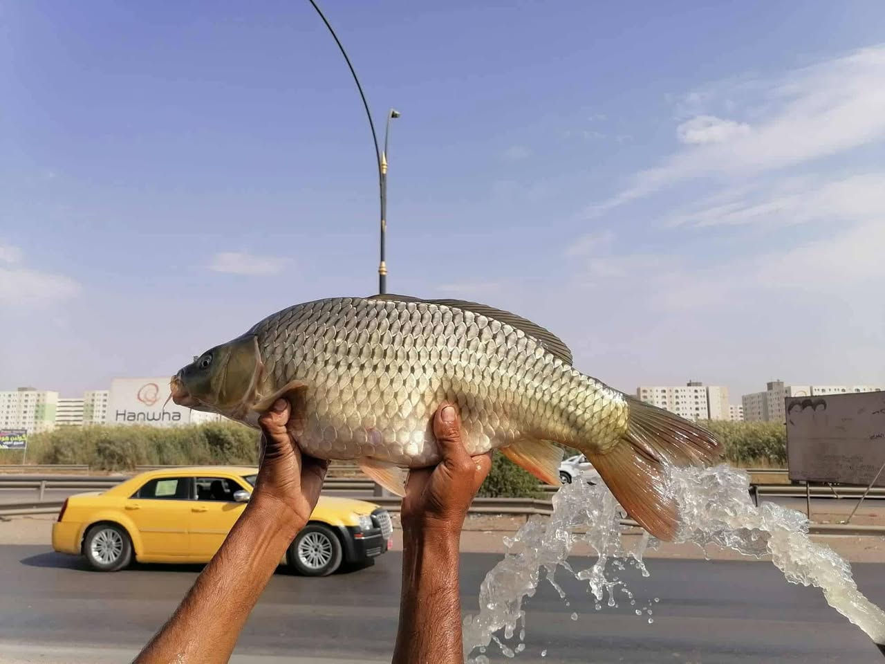 إذا تريد الطعم الأصيل والنظافة المضمونة… إحنا خيارك الأول ✅
🐟 سمك حي طازج خشن
💰 6000 للكيلو فقط
🔥 سمك مسكوف طازج بأطيب الصلصات
يجي ويّاه طرشي وخبز 😍
💰 8000للكيلو
━━━━━━━━━━━━━━
🐔 دجاج حي طازج – الذبح على الطلب
💰 3500 للكيلو
🍗 صدر دجاج 5000 للكيلو
🍗 أفخاذ 5500 للكيلو
🍗 أجنحة 5000 للكيلو
━━━━━━━━━━━━━━
🚚 توصيل سريع داخل مجمع بسماية
فقط 1000 دينار 🔥
📞 للحجز والاستفسار دايركت أو اتصال:
***********
***********
✨ الجودة مضمونة والطعم يحچي عن نفسه… جرّب مرة وراح تصير زبون دائم!
علي المياحي
