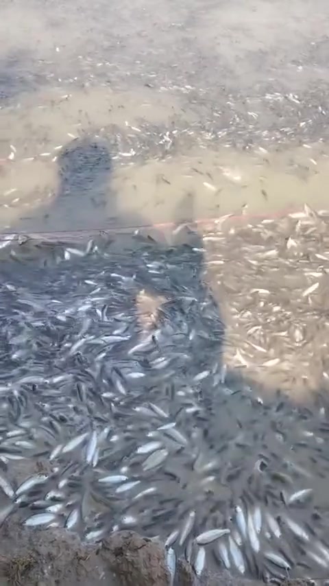 ماشاء الله ميسان المجر الكبير


**إذا كنت صاحب هذا الإعلان وتريد حذفه لأي سبب، رجاءا أرسل رسالة إلى الدعم الفني**