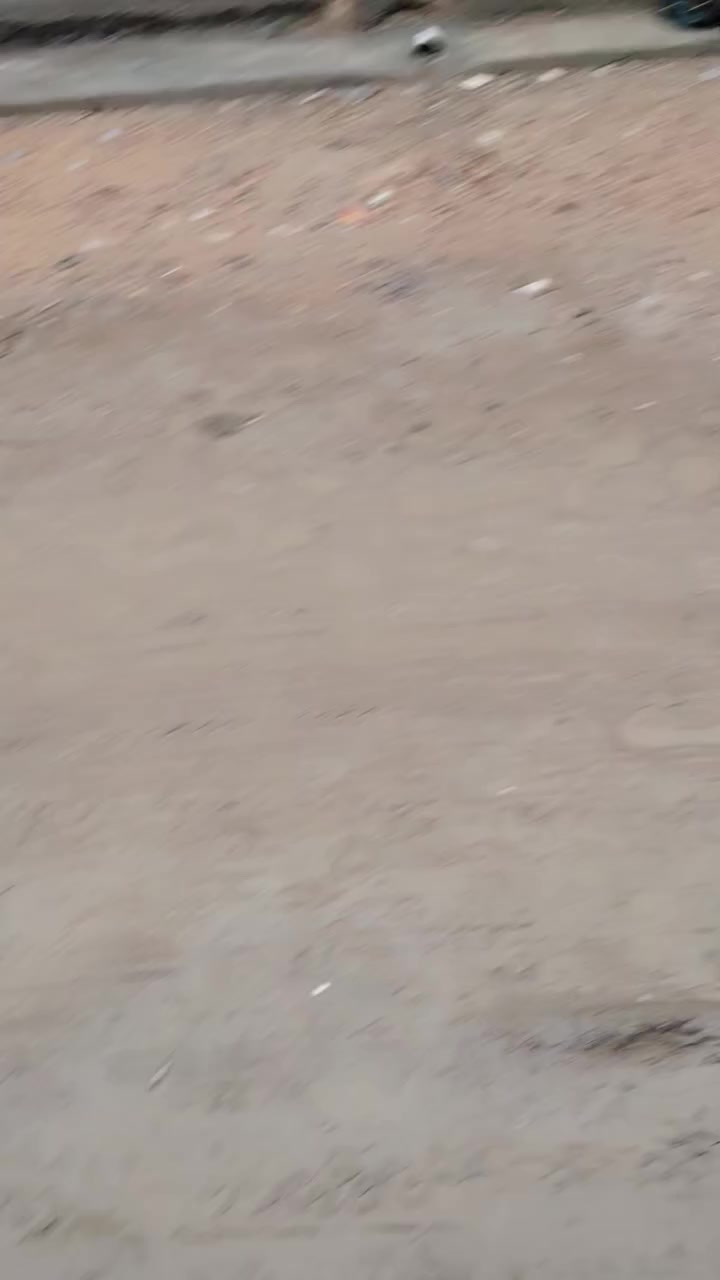 بيت مساحه ٢٠٠ م ٠٧٧١٣٣٩٨ ٤٠٧ 
طابو  زراعي سند ٢٥ العنوان شارع ٨٠  مال كربله
