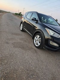 سنتافي ٢٠١٥ • وارد امريكي • حادثة وصبغ
