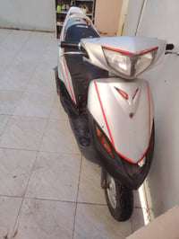 جاهزه • نقصه ستنده • كله شغال