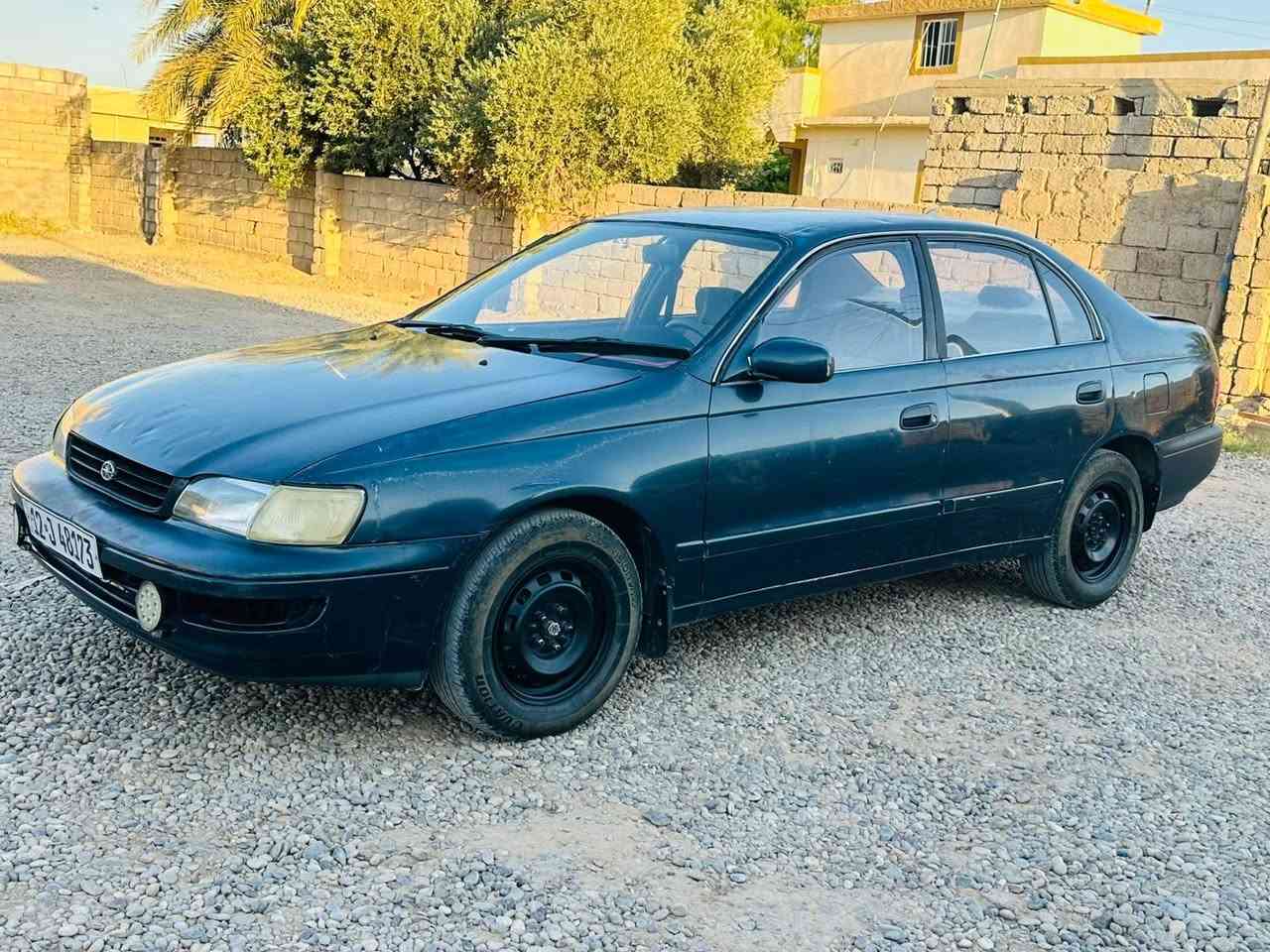 السلام عليكم.للبيع  فرخ بطه . كير عادي . سعر 38 وبي مجال محرك  وكير شرط مسجل نينوى رقم جديد شرط. وكاله تريد تحويل. ***********. ***********
