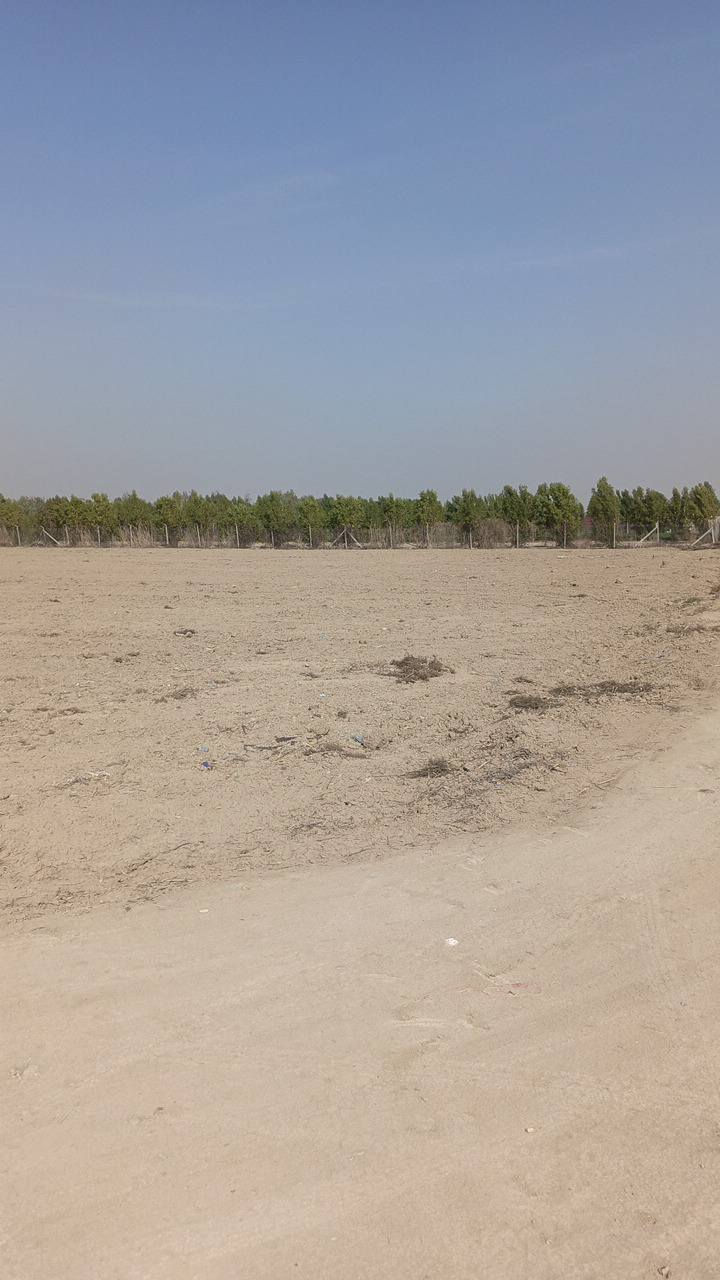 دونم للبيع واجه 37 ونزال 68 موقع دونم بغداد مدائن سلمان باك خلف دائره كهرباء لي بحي شهداء سعر دونم 75 وبي مجال كلش بسيط ***********
