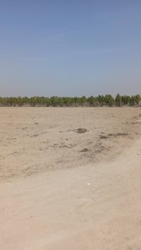 دونم • مدائن سلمان باك • واجهة 37 نزول 68