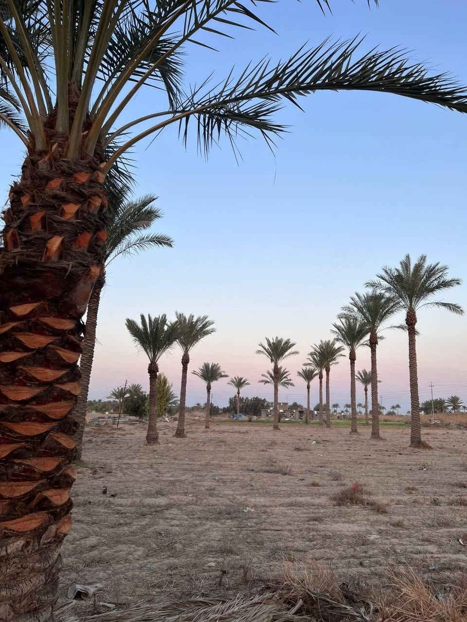 بسم الله الرحمن الرحيم.
قطعه أرض للبيع في اللطيفيه كيلو 14  مساحه القطعه 2دونم تحتوي على تبليط وماء اساله . وكهرباء وبالاضافه القطعه ركن  وتحتوي ع ٣٠ شجره نخله 
من يرغب بالشراء يرجى الاتصال على رقم الهاتف ادناه . ***********.. ***********
ملاحضه السعر خاص

