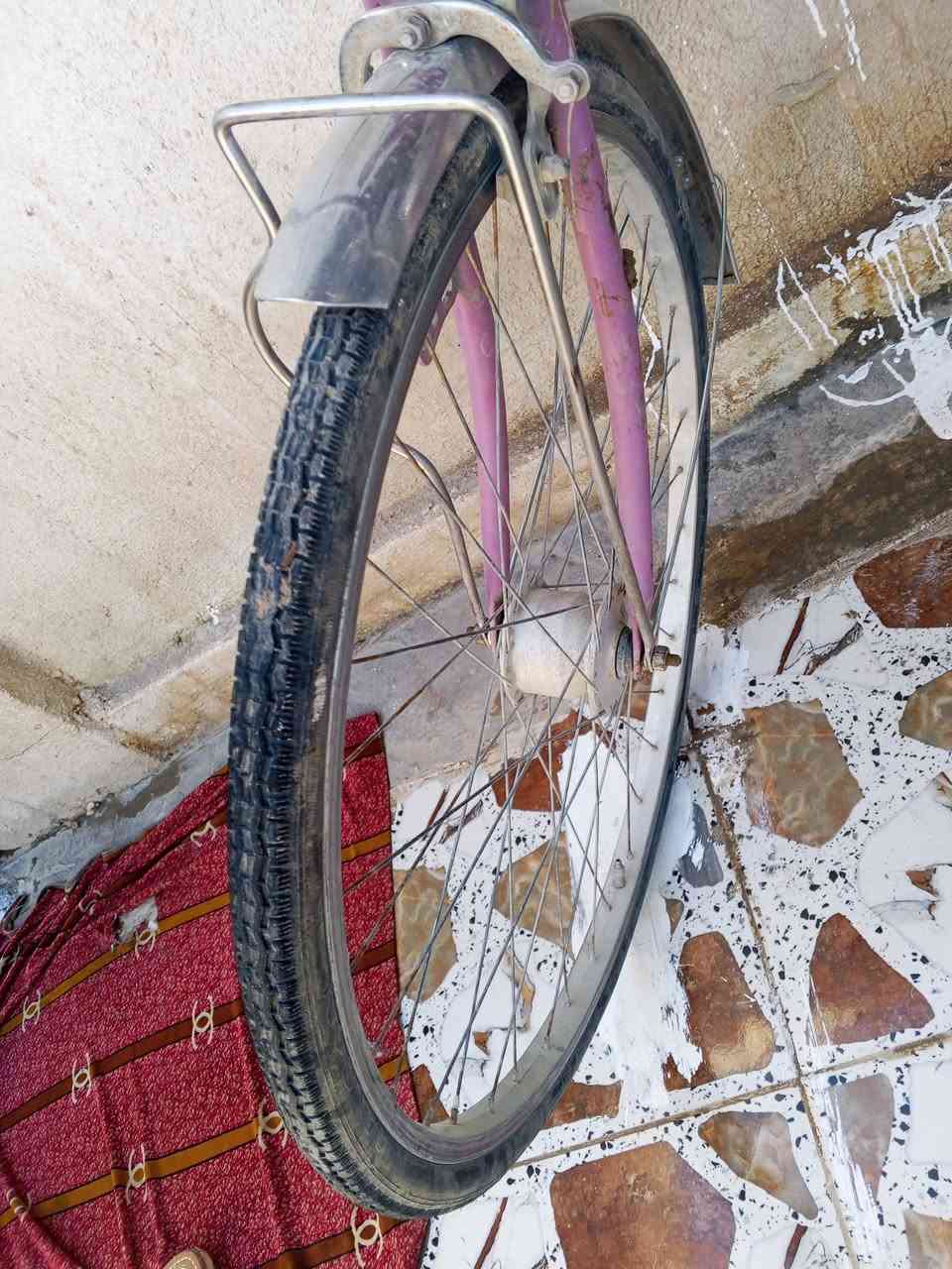 للبيع حجم 26 السعر بالخاص


**إذا كنت صاحب هذا الإعلان وتريد حذفه لأي سبب، رجاءا أرسل رسالة إلى الدعم الفني**