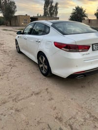 ابوتيميا • ٢٠١٨ • رقم اربيل