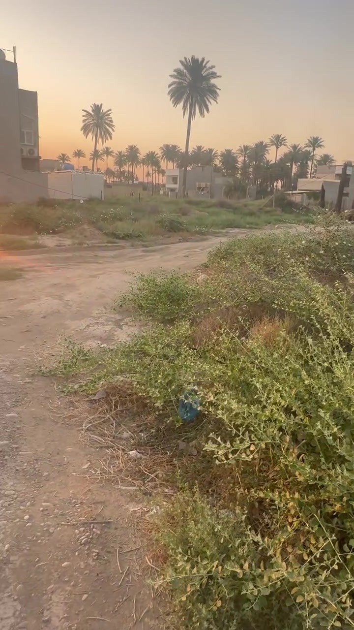 يا الله قطعة ارض للبيع مقابيل الجزيرة شارع الجم القطعة تصير خمسينات ٣ الوجهة ٧/٥٠
***********
