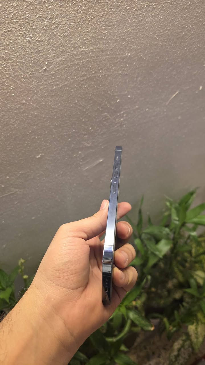 13 برو ماكس شرق اوسط نموذج m
ذاكرة 256
بطاريه  85 

نضيف فوول  

730  الف وبي مجال

بغداد حي اور


**إذا كنت صاحب هذا الإعلان وتريد حذفه لأي سبب، رجاءا أرسل رسالة إلى الدعم الفني**