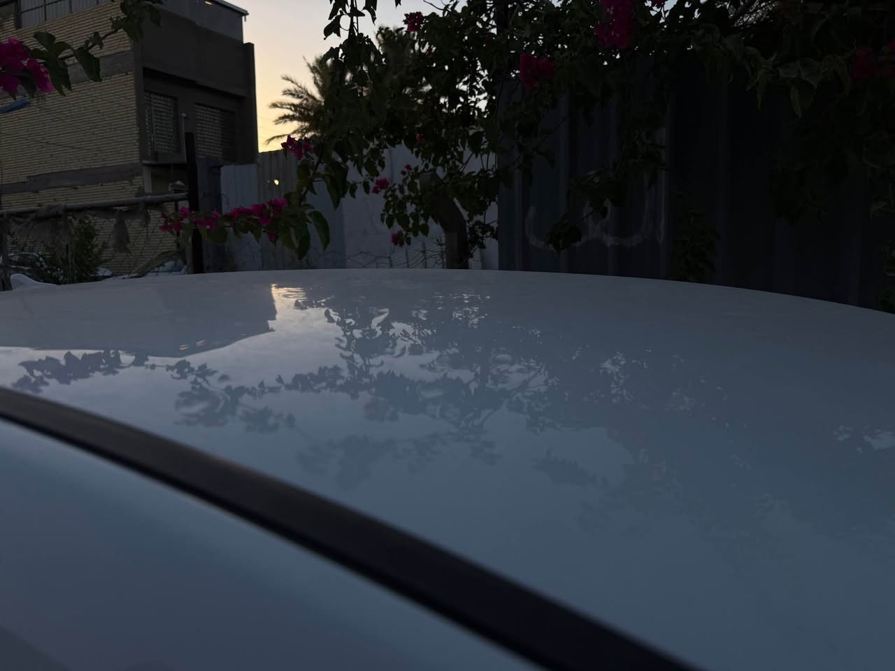 ‎سوناتا‎ النجف, العراق
