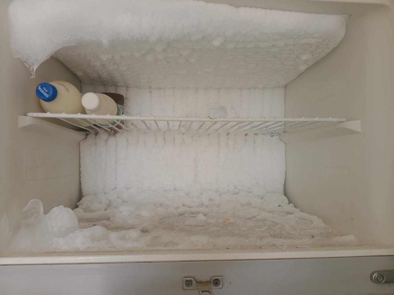 للبيع ثلاجه ٢٤ قدم تجميد فوك وجوه علئ فحص سعر ١٣٠


**إذا كنت صاحب هذا الإعلان وتريد حذفه لأي سبب، رجاءا أرسل رسالة إلى الدعم الفني**