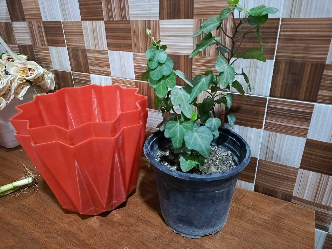 نباتات زينه ب اسعار مناسبه توجد خدمه توصيل لجميع المحافظات وداخل كركوك


**إذا كنت صاحب هذا الإعلان وتريد حذفه لأي سبب، رجاءا أرسل رسالة إلى الدعم الفني**