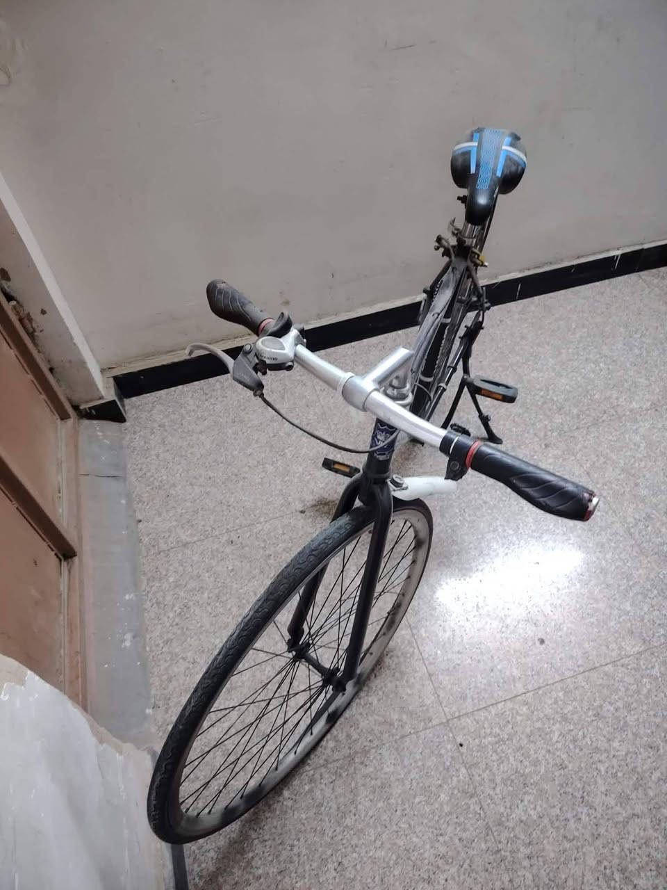 السلام عليكم بايسكل سي700 بيع او مراوس بناتي جاهز للاخير ترايك كبل للشارع نقص بس واير كير واير بريك جاهز كير مكينة تايرات كلة شغال العنوان بغداد الشرطة الرابعة اي ستفسار متواجد خاص *********** السعر 145
