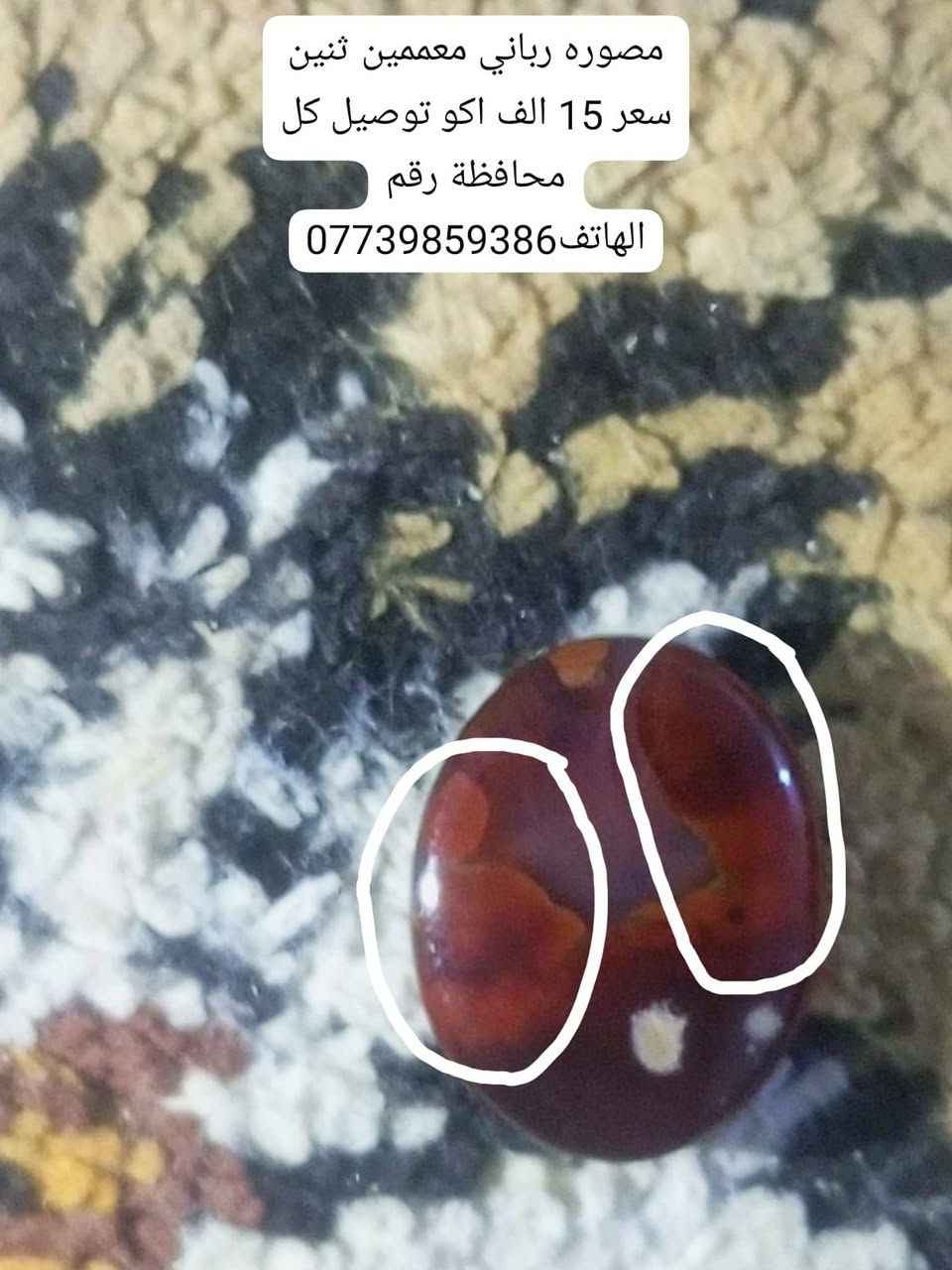 السلام عليكم احجر لبيع مصورات رباني السعر موجوده بل بصوره مكان البصره اكو توصيل كل محافظة رقم الها***********
