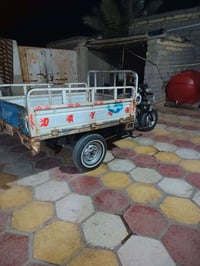 ستوته • ديل 12 • اوراق مداور