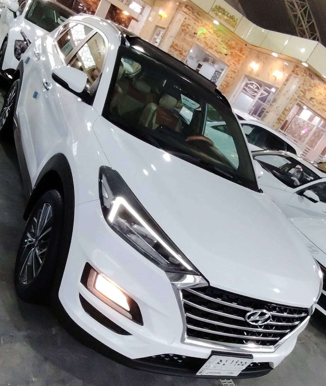 من رخصت أدمن المحترم
هونداي توسان خليجي موديل ٢٠١٩     الكاصد
رقم بغداد 
عداد ٩٣  الف كيلو متر 
كفاله عامه
بصمه تشغيل
حساس أمامي خلفي بلادي
شاشه بلادي
كامره خلفيه 
حجم المحرك ٢٠٠٠ دوش مامفتوح
كشنات جلد لونين
أشاره بلمري مري شفط  ترحيب
لايت ٥ عدسات زنون عالي ناصي
لد أمامي نهاري ليلي
لايت عدسه
داخل صاج
كشن السائق وصدر كهرباء
السعر ١٩٧  $ ورقه 
بيع أو مراوس حسب القناعه مكان السياره في بابل
***********        ***********
