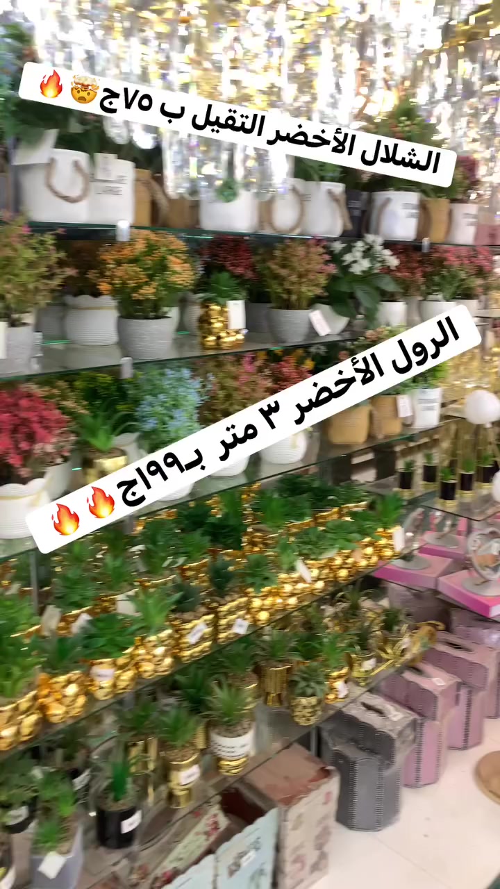 بفضل الله الكميات رجعت تاني 🙏
ونعتذر لكل الناس اللي جت قبل كده وملاقتش البرجولة.
دلوقتي برجولة الرول الأخضر والشلال متوفرة تاني بسعر 199 جنيه لفترة محدودة.
📍 العنوان: الشافعي للنجف والانتيكات
أمام كوبري قصر الثقافة بجوار مطعم هاي بروست – فاقوس

#الشافعي_للنجف
#برجولة
#شلال
#ديكور_منزل
#عروض
#فاقوس
#انتيكات


**إذا كنت صاحب هذا الإعلان وتريد حذفه لأي سبب، رجاءا أرسل رسالة إلى الدعم الفني**
