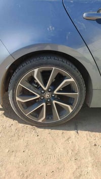 تخم ويل كورلة وارد امريكي السعر250) 07721149750