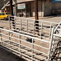 Maha Kaya   ￼محجر كيه فحل. نضيف ل بيع.  مكان بغداد  07705565990