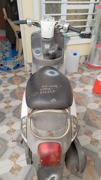 دراجة بليسي • حلوة