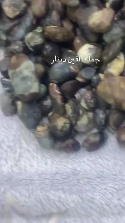 جمل سليماني خام عيون بالفين القطعه الحجز 10 قطع ما فوق  داودي على الف القطعه 15 قطع ما فوق الحجز خاص الكميه قليله


**إذا كنت صاحب هذا الإعلان وتريد حذفه لأي سبب، رجاءا أرسل رسالة إلى الدعم الفني**