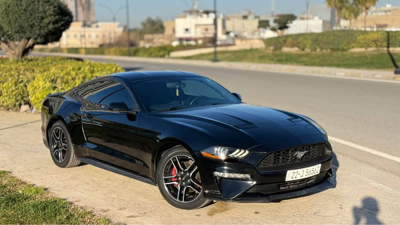 موستانج ايكو بوست ٢٠١٩
ماشي ٧٨ الف
محرك٢.٣ تيربو ٣١٠ حصان 🐎 بشرت ما مفتوح
حادث جاملغ صبوغ باب مبدل بلادي
ارباك بس تكمه
سنوية - رقم - فحس - هزة كل جديد
عنوان اربيل شارع ١٠٠
شركة ريبوار سالار صالح
***********
***********
*********** أربيل, العراق
