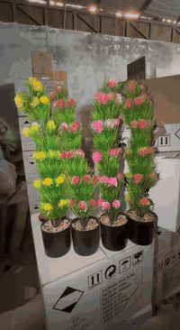 اهلا بكم 
جملة فقط فقط
***********
***********

https://t.me/HShassan1986

👆🏻🔥👆🏻🔥👆🏻🔥👆🏻🔥👆🏻
