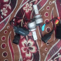 زينون • ضمان سنه • شغال