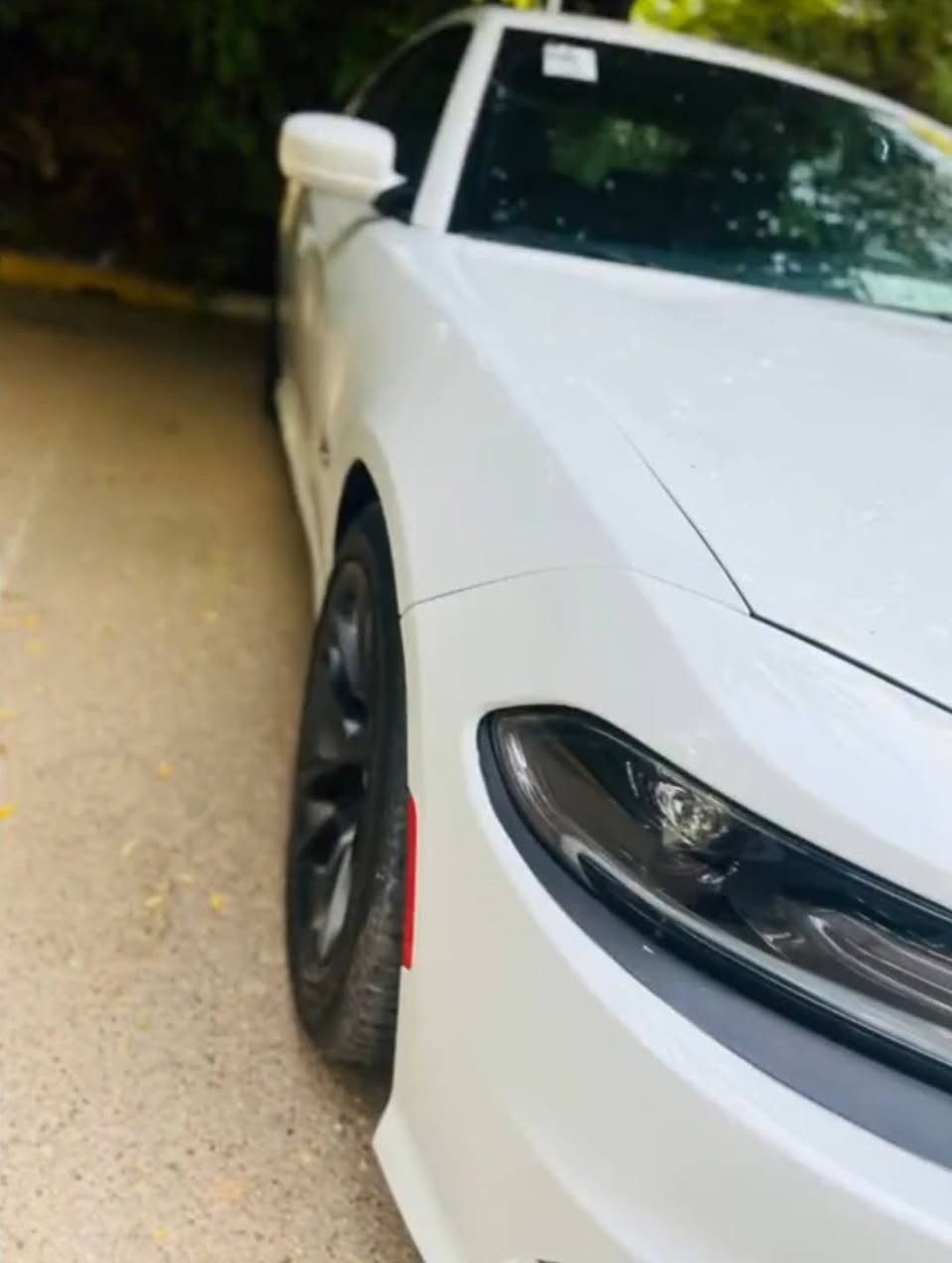 جارجر SRT سكات باك وارد امريكي 
موديل 2021
ماشيه 19الف
مكينه 6.400»8سلندر
فول مواصفات 
فتحه بالقماره
رادار امامي وخلفي وجانبي
كشنات نحله 
تحويل ثاني يوم 
150 وبيه مجال 
***********
***********
