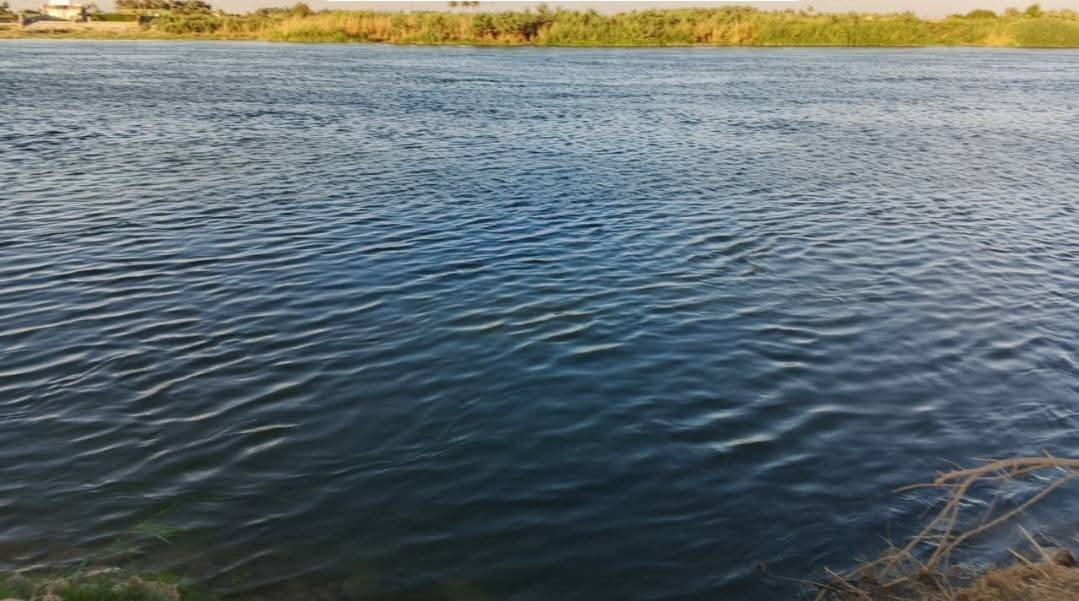 🌊 فرصة استثنائية لامتلاك أرض شاطئية نادرة في الفلوجة – النساف 🌊
إذا تبحث عن الهدوء، الطبيعة، والموقع الذهبي… هاي الأرض تجمع الكل 👌
📍 الموقع: الفلوجة – النساف
🌊 إطلالة مباشرة على الشط والسدّة
🌿 أجواء هادئة وطبيعة خلّابة
🌾 مجاورة لمزارع ومنطقة راقية
📐 المساحة: 5 دونم
📄 الطابو: سند 25
📏 واجهة مميزة: 81 متر
↔️ نزال: 150 متر
🏞️ واجهتان مميزتان:
✔️ وجه مباشر على السدّة
✔️ وجه مباشر على الشط
🛣️ الخدمات متوفرة بالكامل:
✔️ سدة تبليط
✔️ ماء
✔️ كهرباء
📌 قريبة جداً من الشارع العام
🏡 مثالية لبناء سكن راقٍ، استراحة، أو مشروع استثماري ناجح
💎 فرصة نادرة لا تتكرر بهذا الموقع المميز
📞 للاستفسار والاتصال:
📱 ***********
💬 دخول مباشر واتساب:
👉 https://wa.me/9647808911638
✨ لا تضيع الفرصة… موقع يجمع الطبيعة والقيمة الاستثمارية العالية ✨
