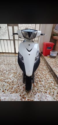 ثعلب مكفولة من كلشي مكاتبه ومنفيس السعر 700 بيهة مجال بسيط مكاني بغداد...