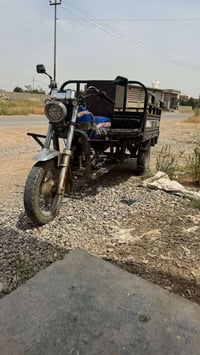 ستوته • سلف • اضويه