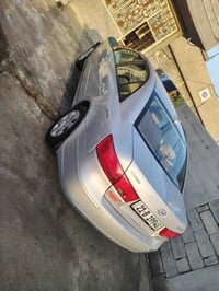 سوناتا • ٢٠١٠ • صبغ قطعتين