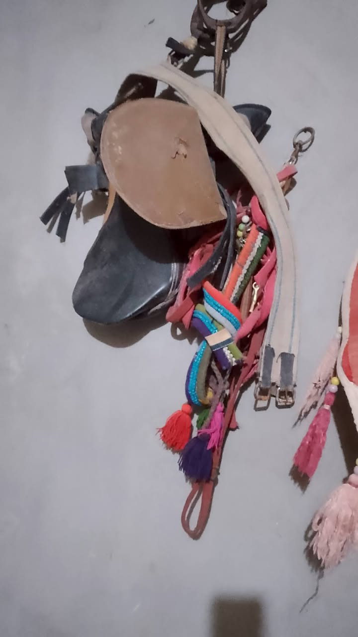 البيع سرج فرس ويا الباده ثنين والجام زنكيات وسرج وسعر ١٢٠وبي مجال
وهذه رقم صاحبو ***********
