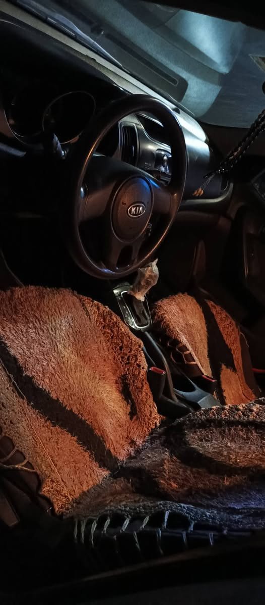 كيا سيراتو موديل 2012 محرك 1600 كير 6 نمره كير و محرك شرط برغي مامفتوح ماشيه 82ألف حقيقي شرط وين ماتريد أفحص.. سياره مال البيت بمعنه الكلمه رقم سليمانيه سنويه لحد 2027 بطاقة بانزين بيها شرط التحويل و الوكالة و الغرامه.. ورقة فحص موجود بلمنشور.. سعرها 115 بيها مجال
مكان السياره كركوك / *********** كركوك, العراق
