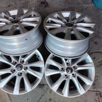 🚨 تخم ويل كب حجم 16 كورلا هايبرد.. بيع او مراوس .. السعر 230 الف ...  ...