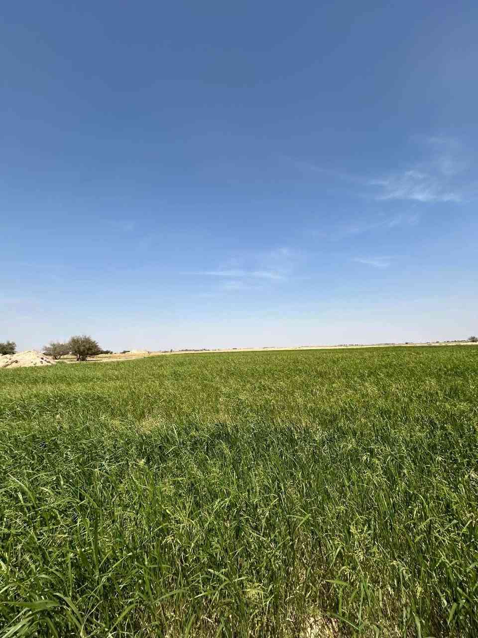 ٧٠ دونم للبيع سند 25 تحويل مباشر


**إذا كنت صاحب هذا الإعلان وتريد حذفه لأي سبب، رجاءا أرسل رسالة إلى الدعم الفني**