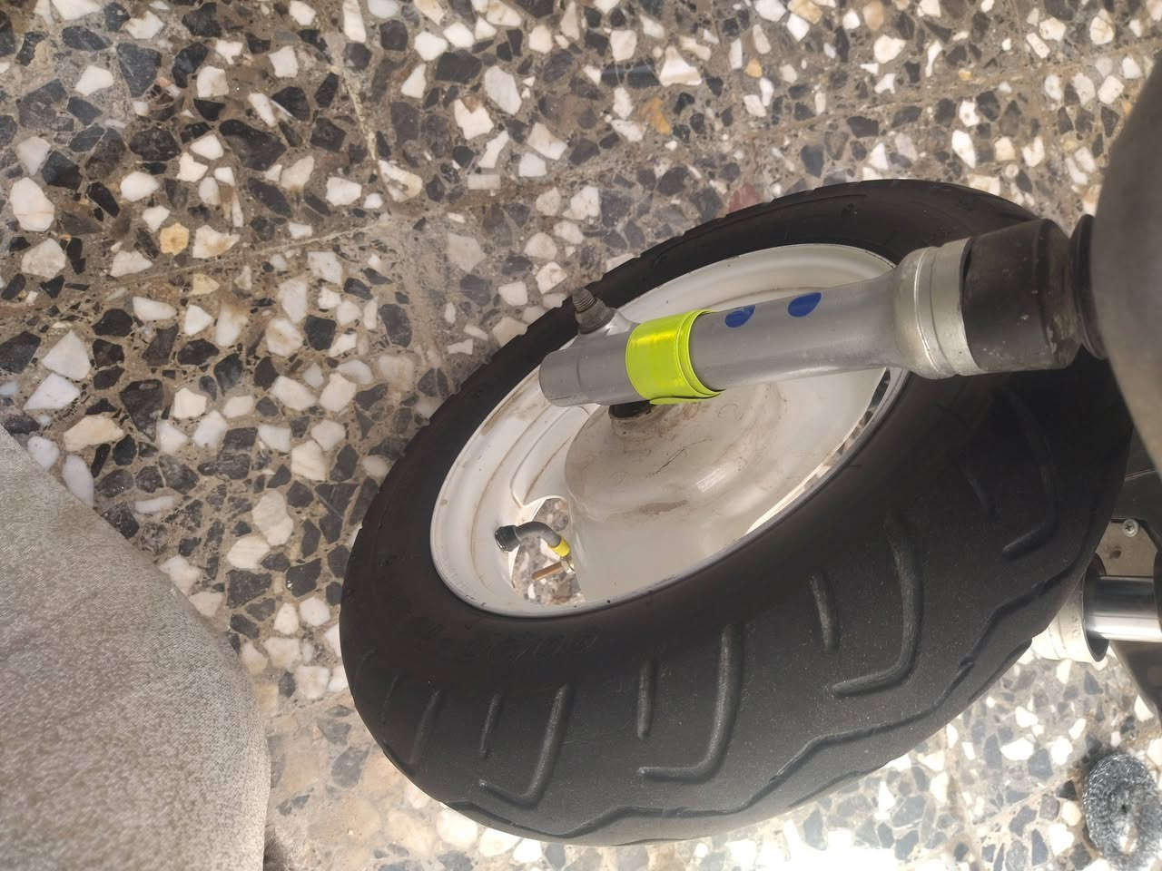 سلام عليكم ماكس منغولي البيع صارله 3اشهر من نازله ختم واحد مستعجل عل بيعته الشراي يراسي خاص


**إذا كنت صاحب هذا الإعلان وتريد حذفه لأي سبب، رجاءا أرسل رسالة إلى الدعم الفني**