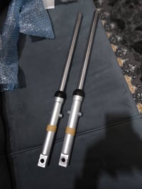 دبلات زوج امامي • اصلي • شرط تفحصة