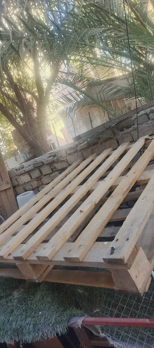 سكيب خشب للبيع   *********** كربلاء, العراق
