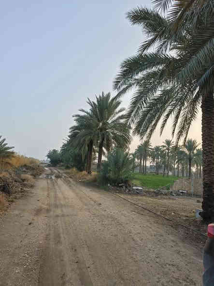 قطعه أرض المساحه ٦٠٠متر متوفره بيها كامل خدمات ماء اساله وكهرباء خلف مدرسه العروبه تبعد عن شارع قريه البوعلوان شارع ابوالطياره ١٠٠متر تصلح سكن ومزرعه طابو زراعي سند ٢٥ تحويل مباشر بل طابو السعر ١٩مليون ***********
