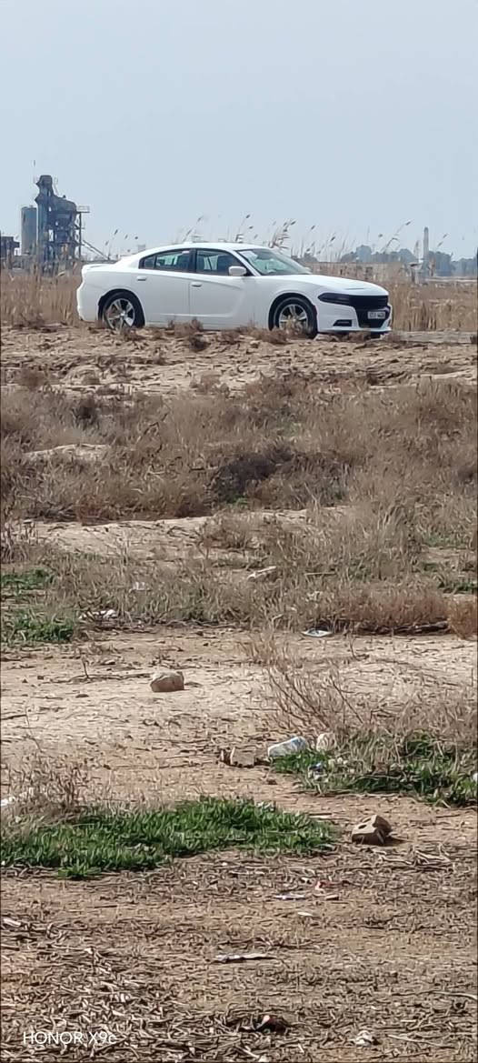 سلام عليكم جارجر 2016 للبيع بيه بارد بل جاملغ الوره شويه وبيه بابين تقسيم فقط ماشيه ١٠٥ اصل سياره جاهزه من كلشي سعر ١٩٥ وبيه مجال حق جيه لمو شرياي لا يتصل
***********
