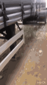 عربانه للبيع كرونا  چادر مسرحي موديل 14 بدون منفيس تخم تاير  
***********
***********
