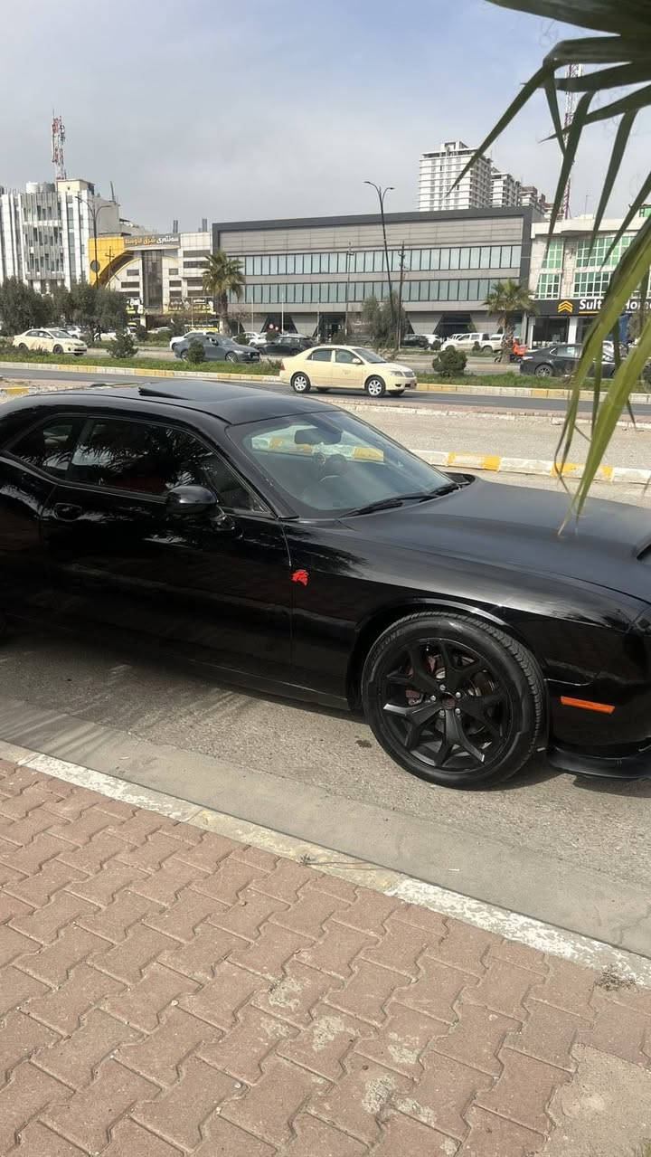 خليجي  فولل فول  S  x  t
2017   بونيت ديمون  شتيكي باك و جوان ٨ وه ره قه غرامي تياي دواى معامله ايگيرمه وه سياره كه ناسراوه
له قوتي خوى بيزاره  صالونصي دوو  مود هيه صوتي عادي و سبورت به ده ست خوته نرخى (144)  ماله كه م جوانه معامله له له ر قم ( ***********) السليمانية, العراق
