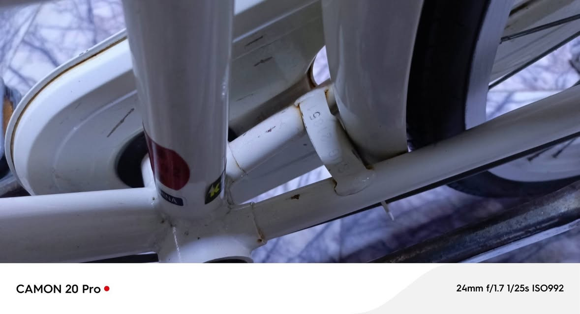 السلام عليكم بيسكل بناتي حجم (٢٦) وحساس بيسكل نضيف كلش وتايرات وجوابة جدد قبل كم يوم بدلتهن البيسكل مابي اي نقص وهاي مثل ماموجود بالصور مديل (٢٠٢٠) وبي ختم شاصي السعر (١٤٥)الف وبي مجال للطيبين


**إذا كنت صاحب هذا الإعلان وتريد حذفه لأي سبب، رجاءا أرسل رسالة إلى الدعم الفني**