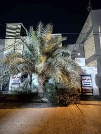 حي ميسان • ٢٠٠م • بناء ٢٠٢٣