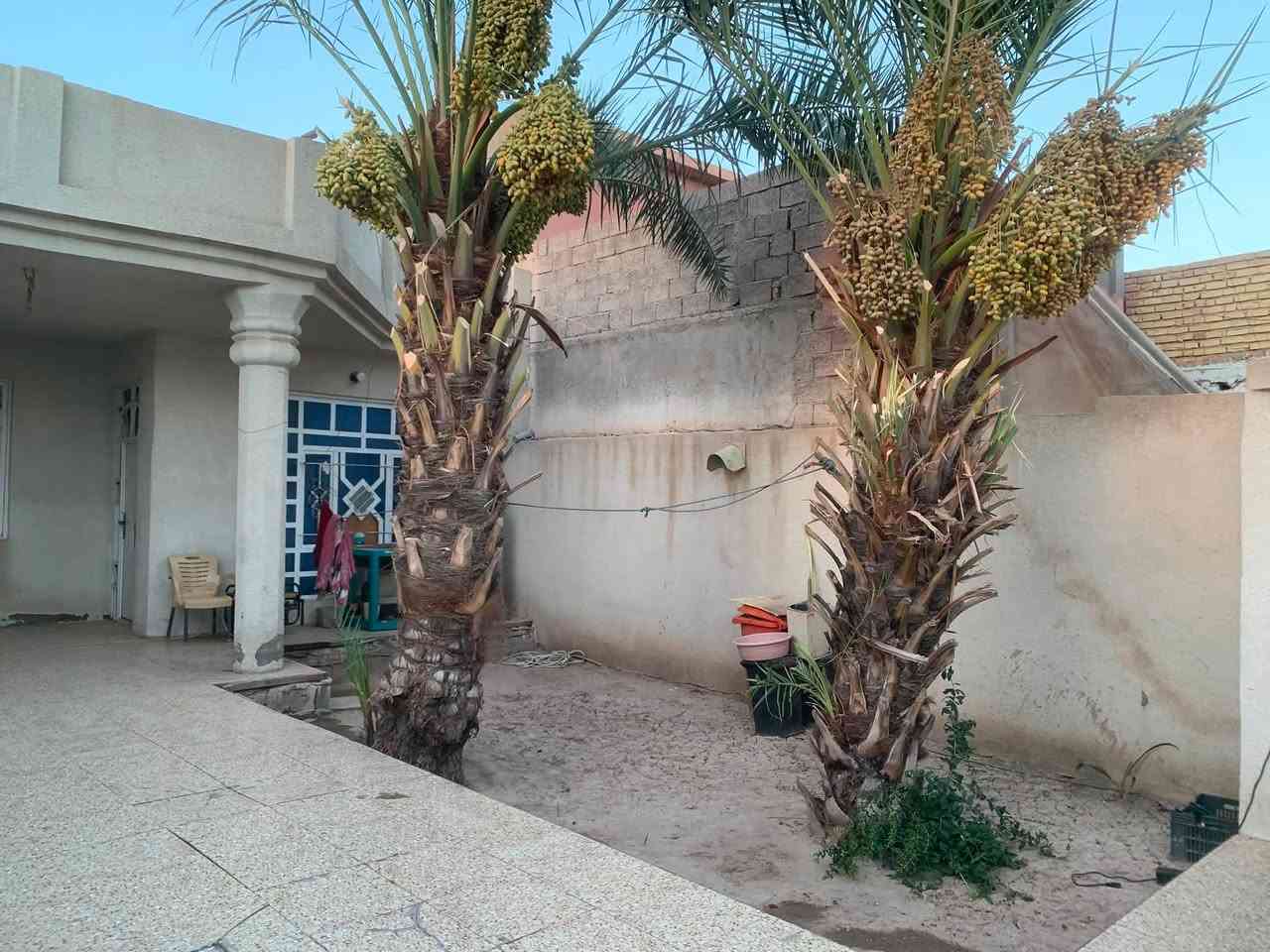 بييت 200م للبيع ورة شارع الحدادين 
واجهة ٨ نزال ٢٥ 
منور خلفي متر ونص * ٨ امتار 
كراج ١٣ * ٤ 
حديقة ٨,٥ * ٤ 
غرفة نوم ٥*٤ 
صالة ٦*٤ 
صحيات خارجية داخلية 
استقبال ٧وربع *٤ 
مطبخ ٤,٥ * ٤ 
خدمات كاملة ماء تبليط مجاري ثقيلة كاملة

للتواصل ***********
***********
