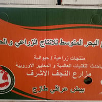 ابيض اليوسف • وزن ٢٦